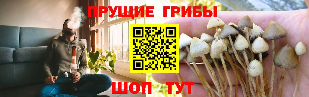 Псилоцибиновые грибы Magic Shrooms Новый Уренгой